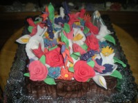 /album/fotogaleria-fotogaleria/dscn4545-jpg/