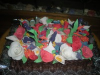 /album/fotogaleria-fotogaleria/dscn4546-jpg/