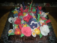 /album/fotogaleria-fotogaleria/dscn4547-jpg/